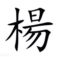 楊造詞|楊造詞，楊字的造詞